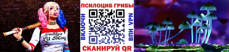 Купить где  Ардон  Галлюциногенные грибы мицелий 